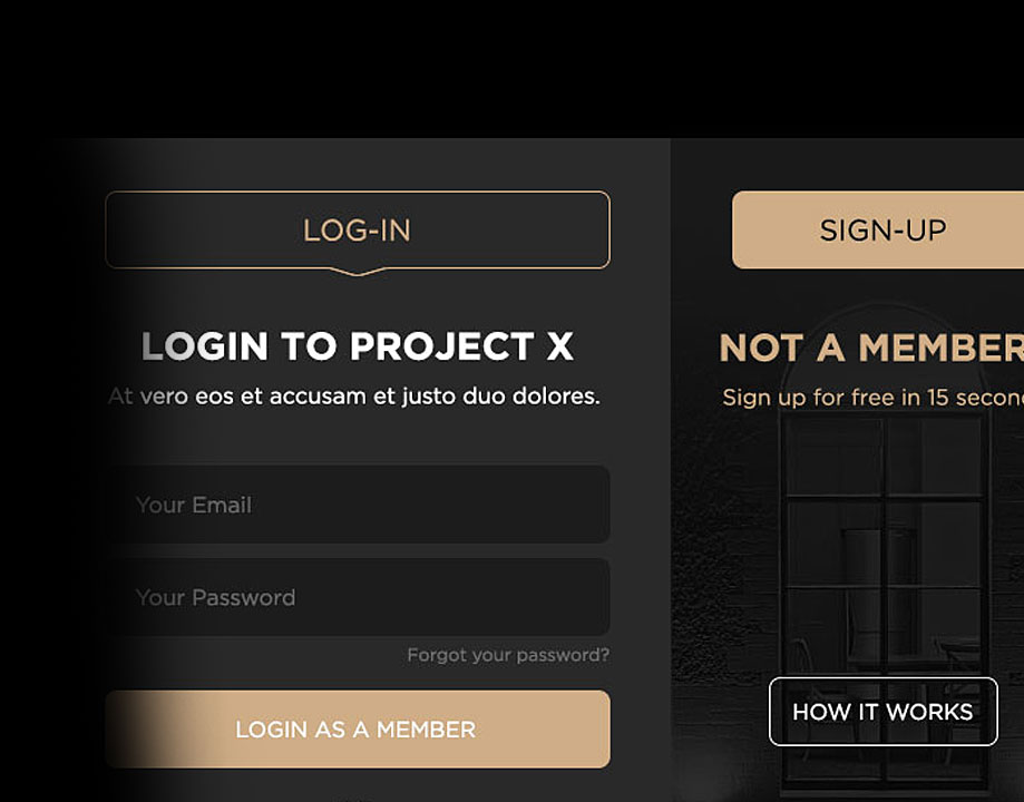 Project X — Login Modal